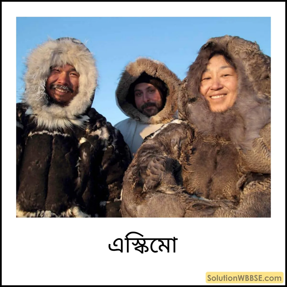 এস্কিমো