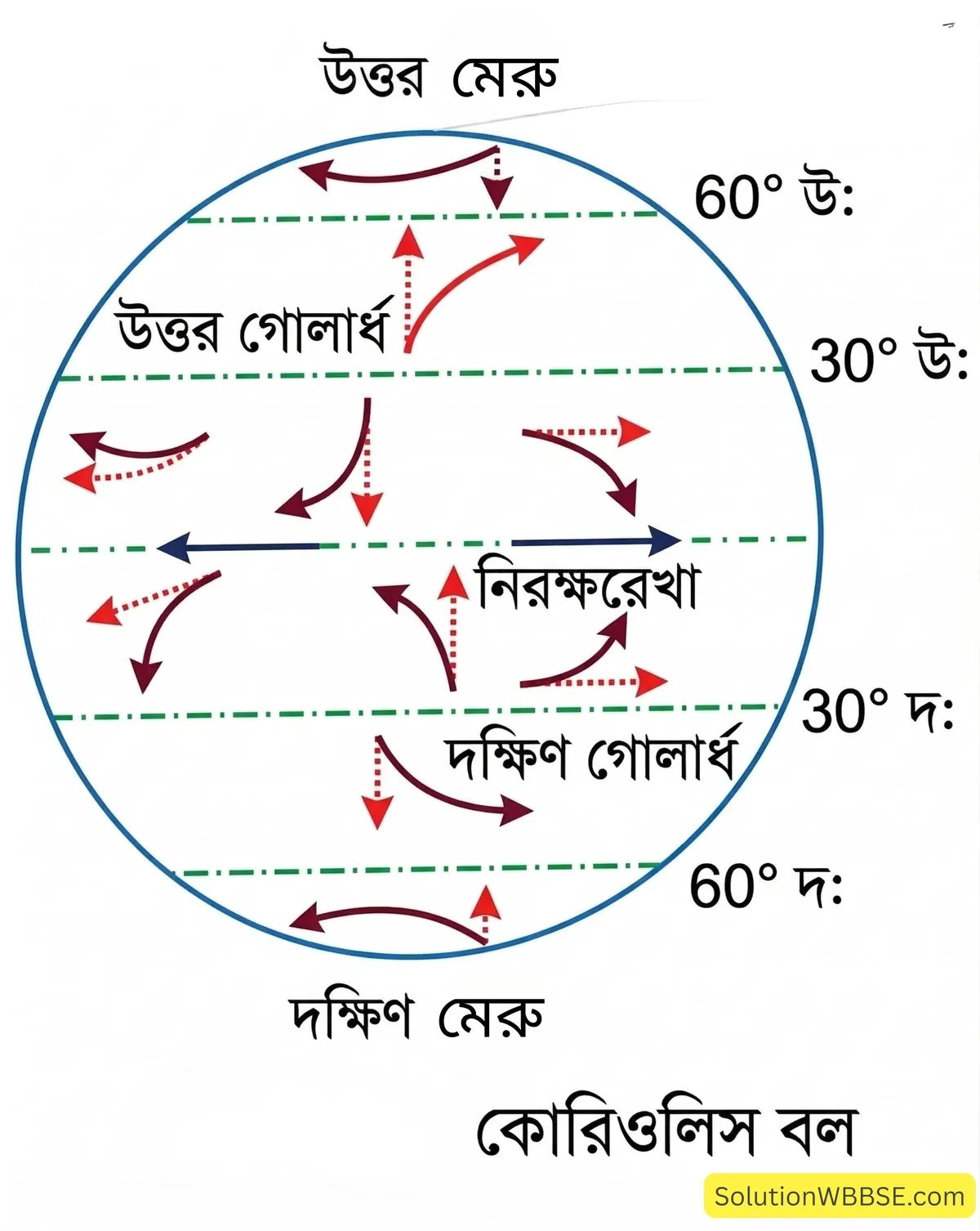 কোরিওলিস বল
