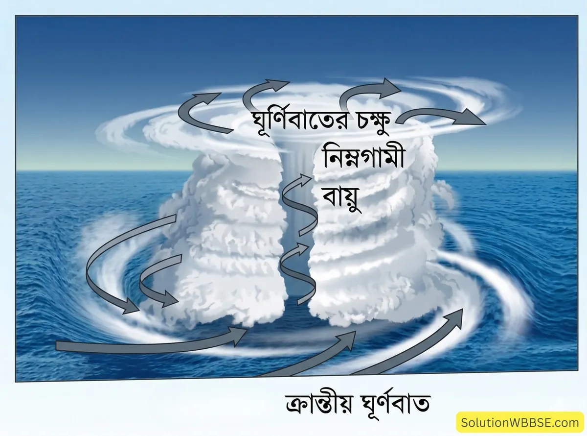অষ্টম শ্রেণি ভূগোল - চাপবলয় ও বায়ুপ্রবাহ - সংক্ষিপ্ত প্রশ্ন ও উত্তর 2 ক্রান্তীয় ঘূর্ণবাত