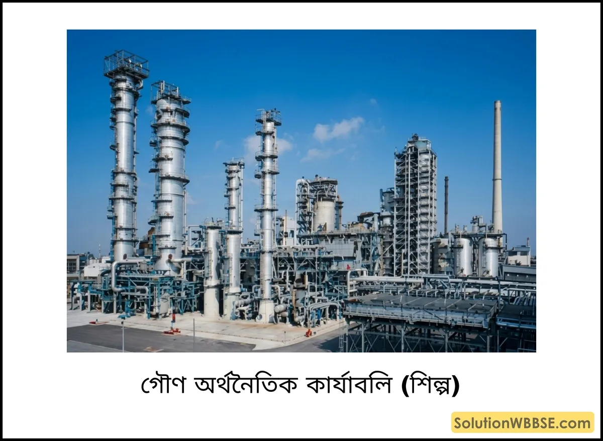 গৌণ অর্থনৈতিক কার্যাবলি (শিল্প)