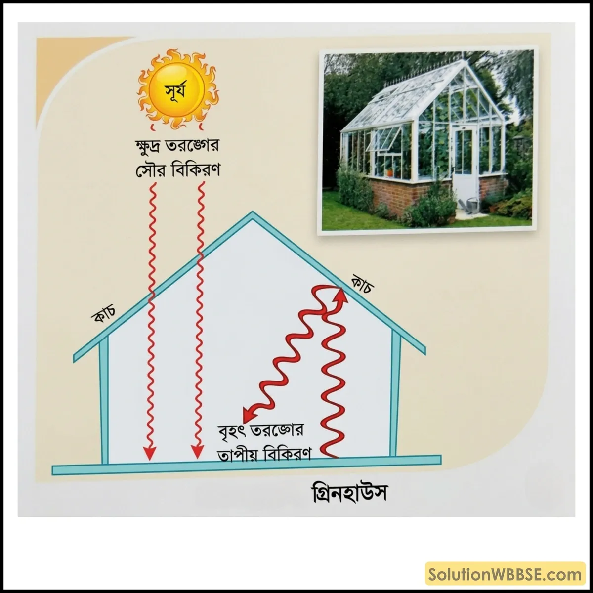 গ্রিনহাউস