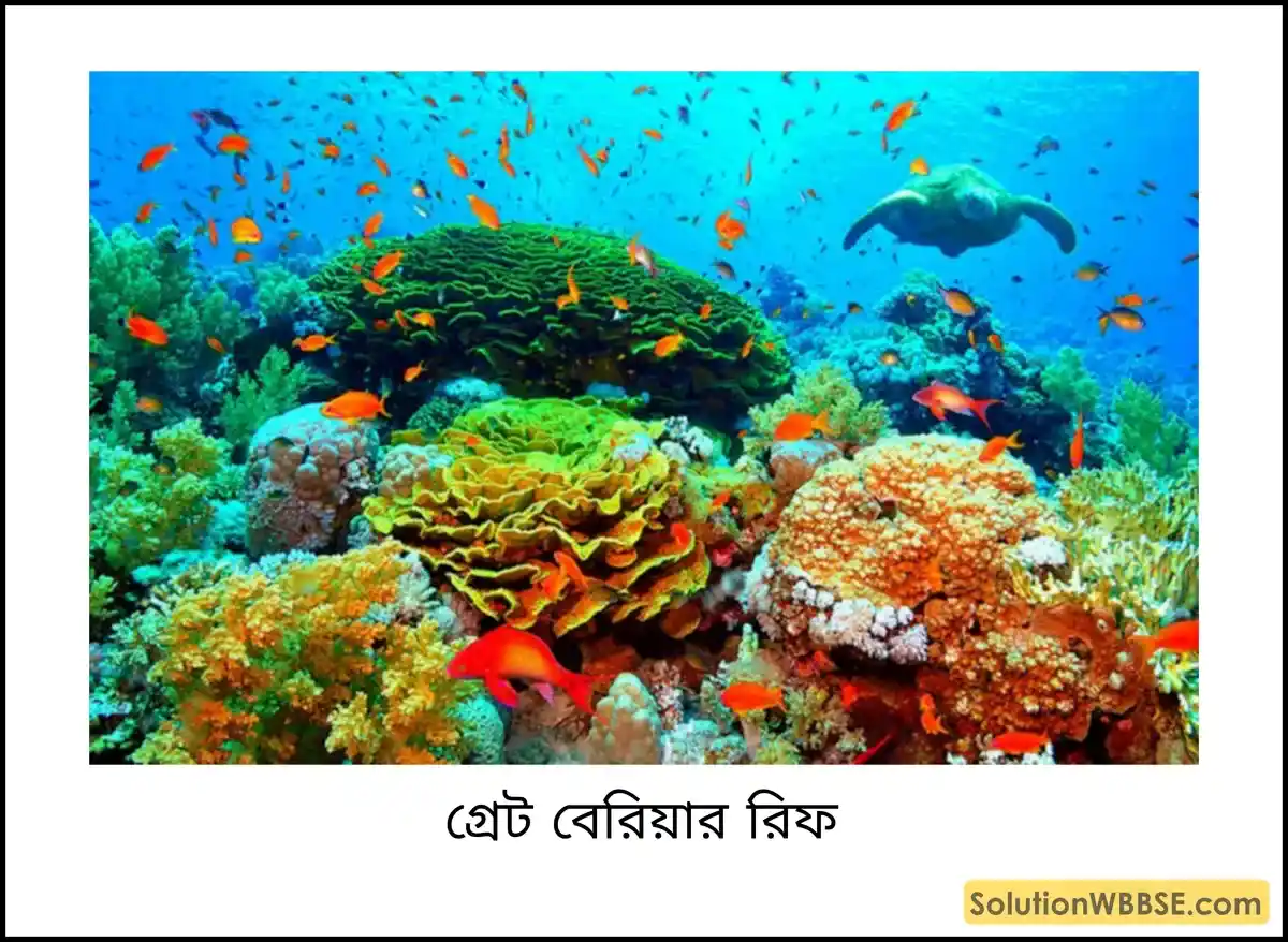 অষ্টম শ্রেণি ভূগোল - ওশিয়ানিয়া - ওশিয়ানিয়ার প্রাকৃতিক পরিবেশ - টীকা 2 গ্রেট বেরিয়ার রিফ