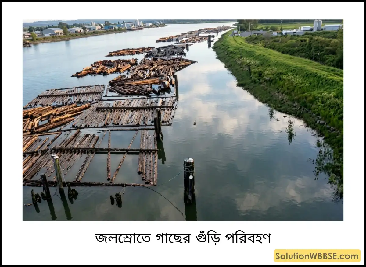 জলস্রোতে গাছের গুঁড়ি পরিবহণ