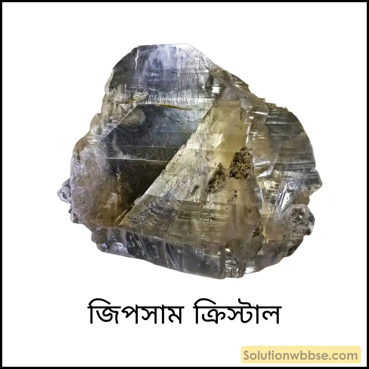 জিপসাম ক্রিস্টাল