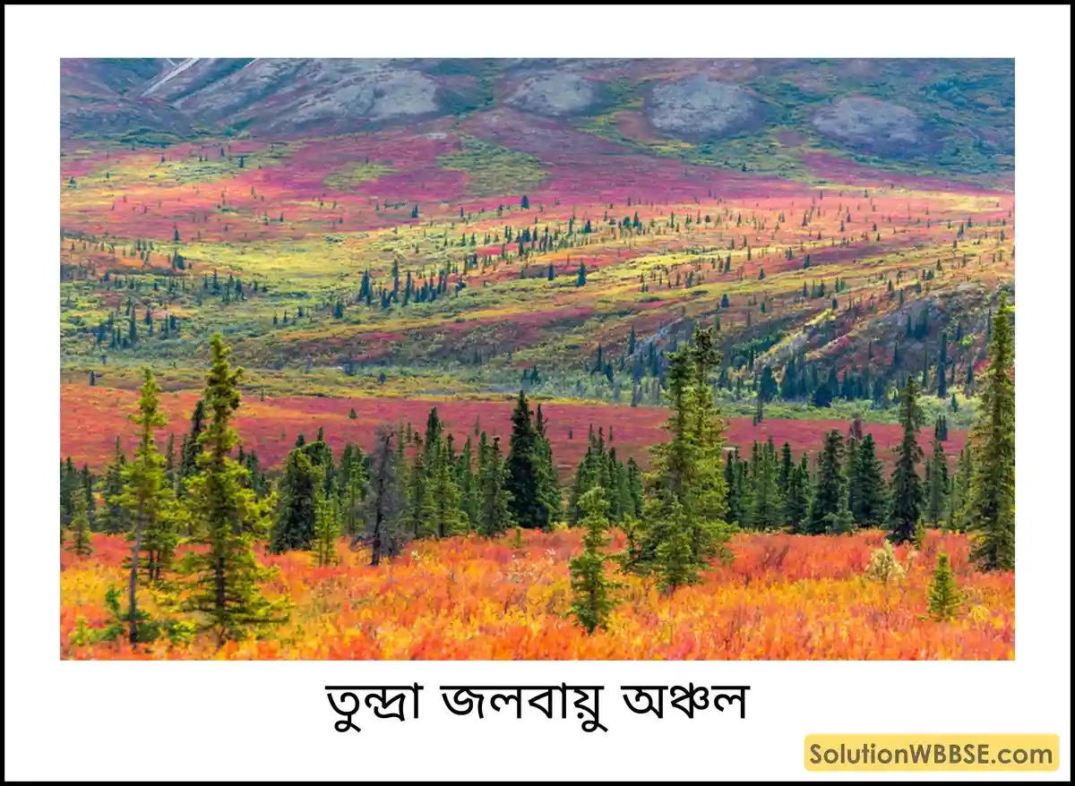 তুন্দ্রা জলবায়ু অঞ্চল