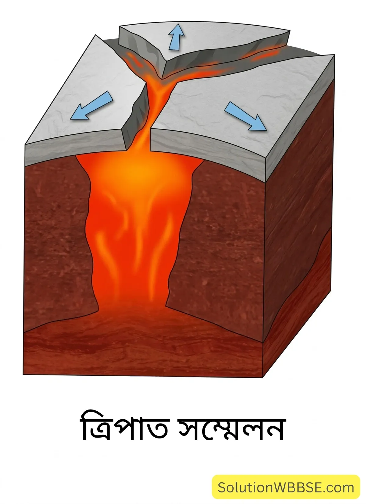 ত্রিপাত সম্মেলন