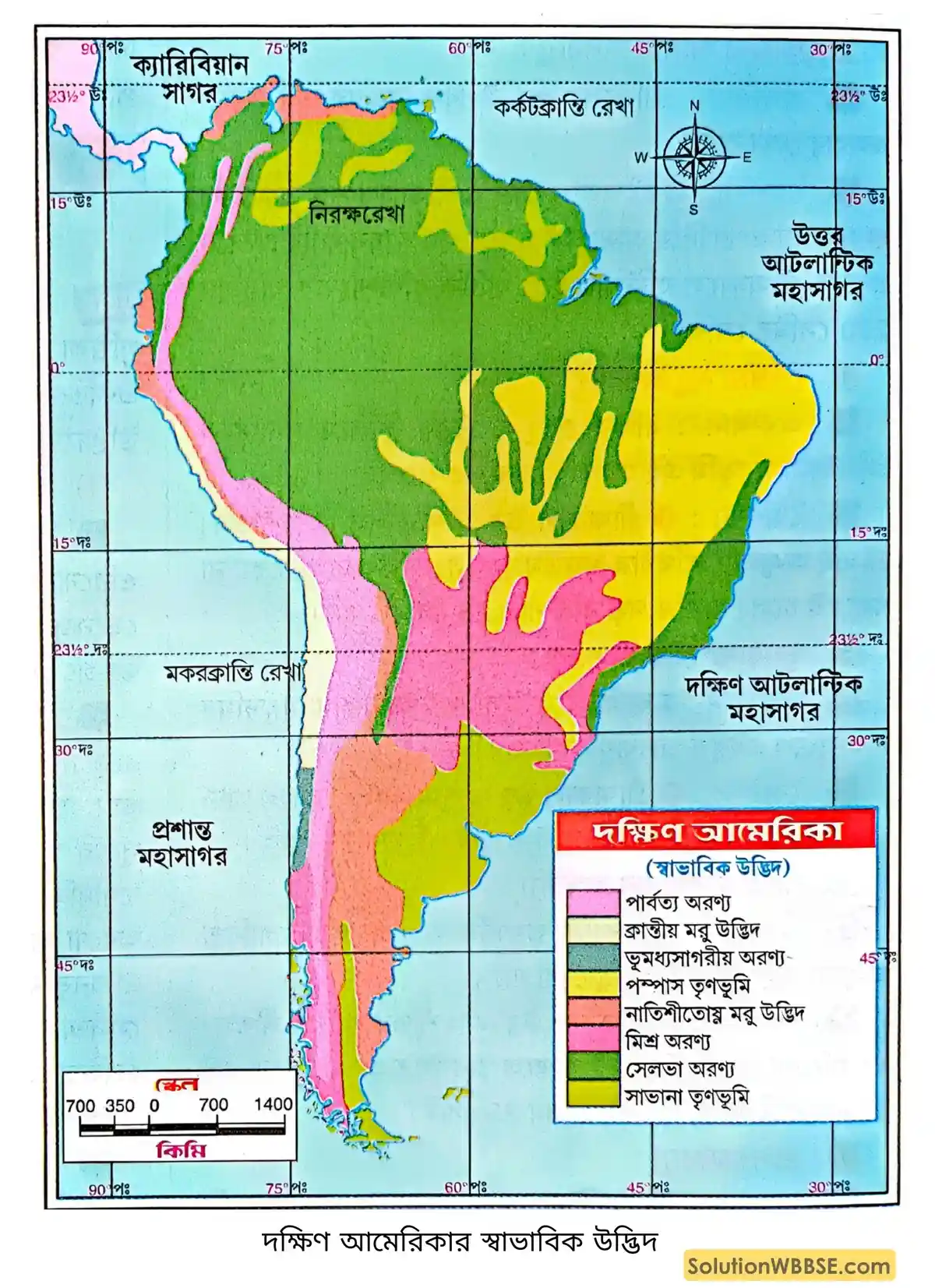দক্ষিণ আমেরিকার স্বাভাবিক উদ্ভিদ