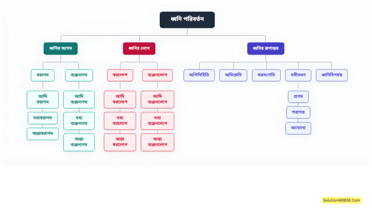 অষ্টম শ্রেণি বাংলা - ব্যাকরণ বিভাগ - ধ্বনি পরিবর্তন 2 ধ্বনি পরিবর্তন