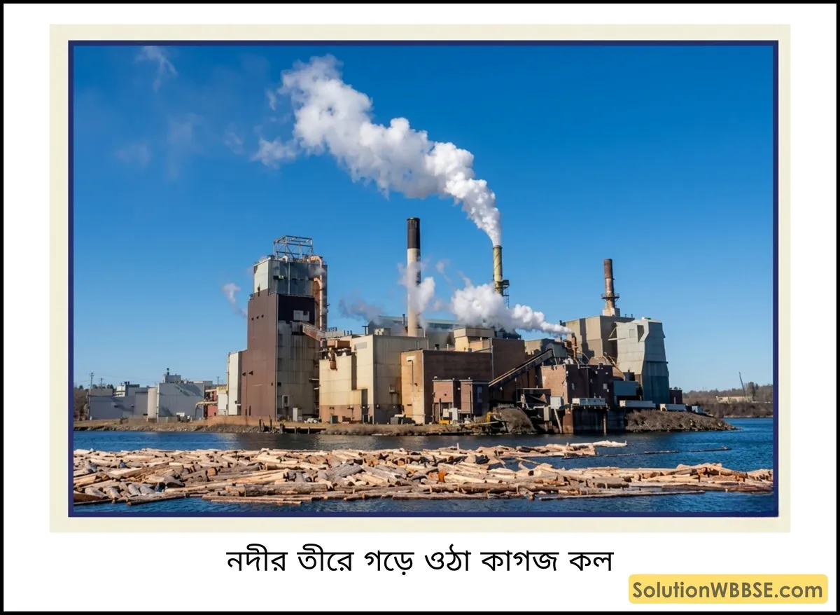 নদীর তীরে গড়ে ওঠা কাগজ কল