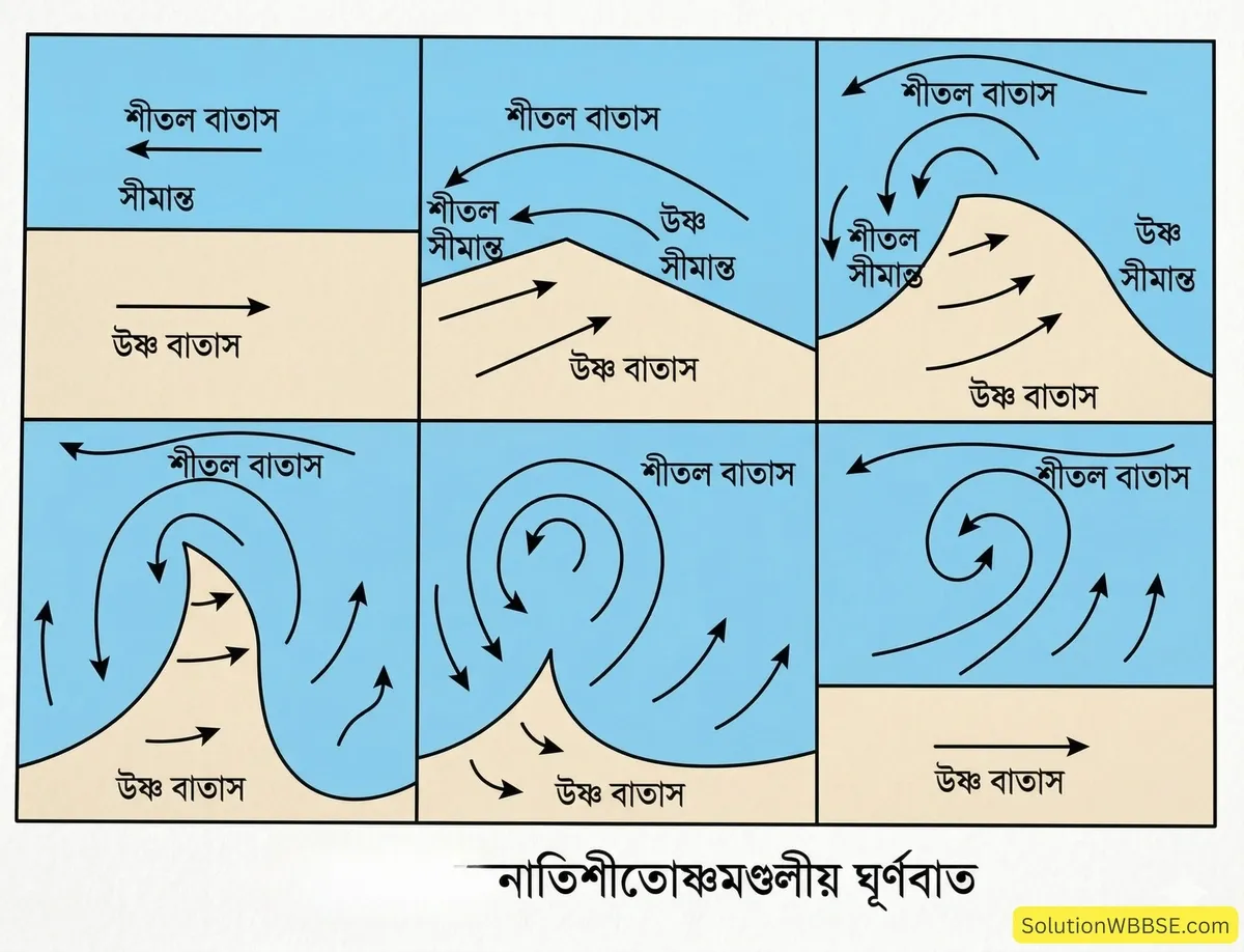 নাতিশীতোষ্ণমণ্ডলীয় ঘূর্ণবাত