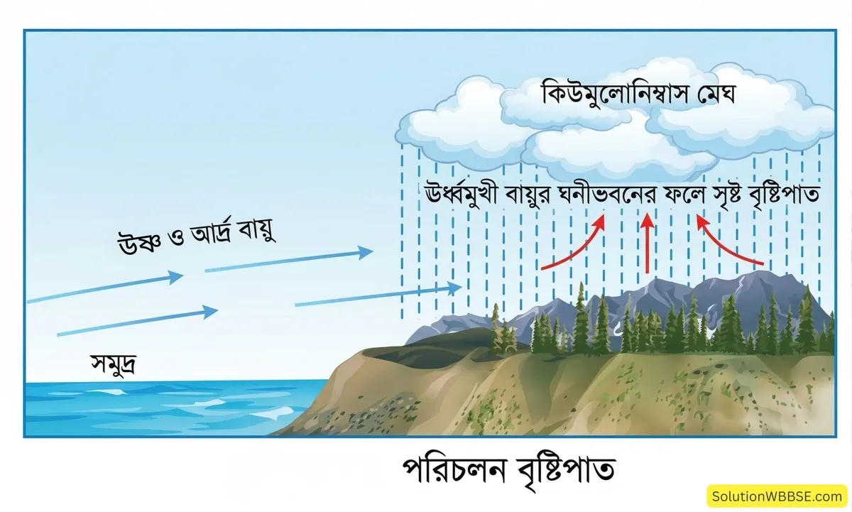 পরিচলন বৃষ্টিপাত
