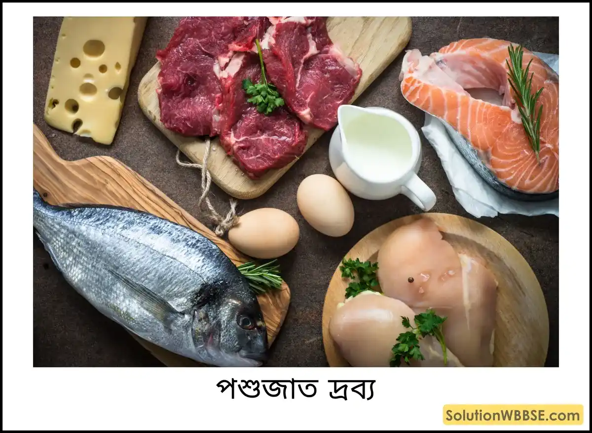 পশুজাত দ্রব্য