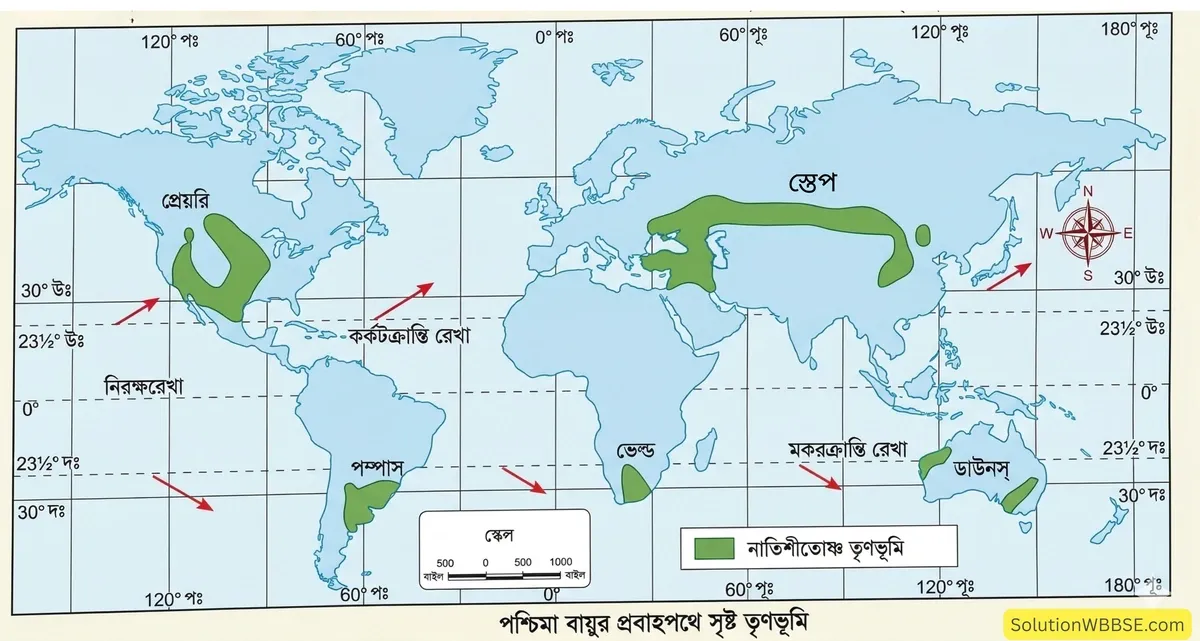 পশ্চিমা বায়ুর প্রবাহপথে সৃষ্ট তৃণভূমি