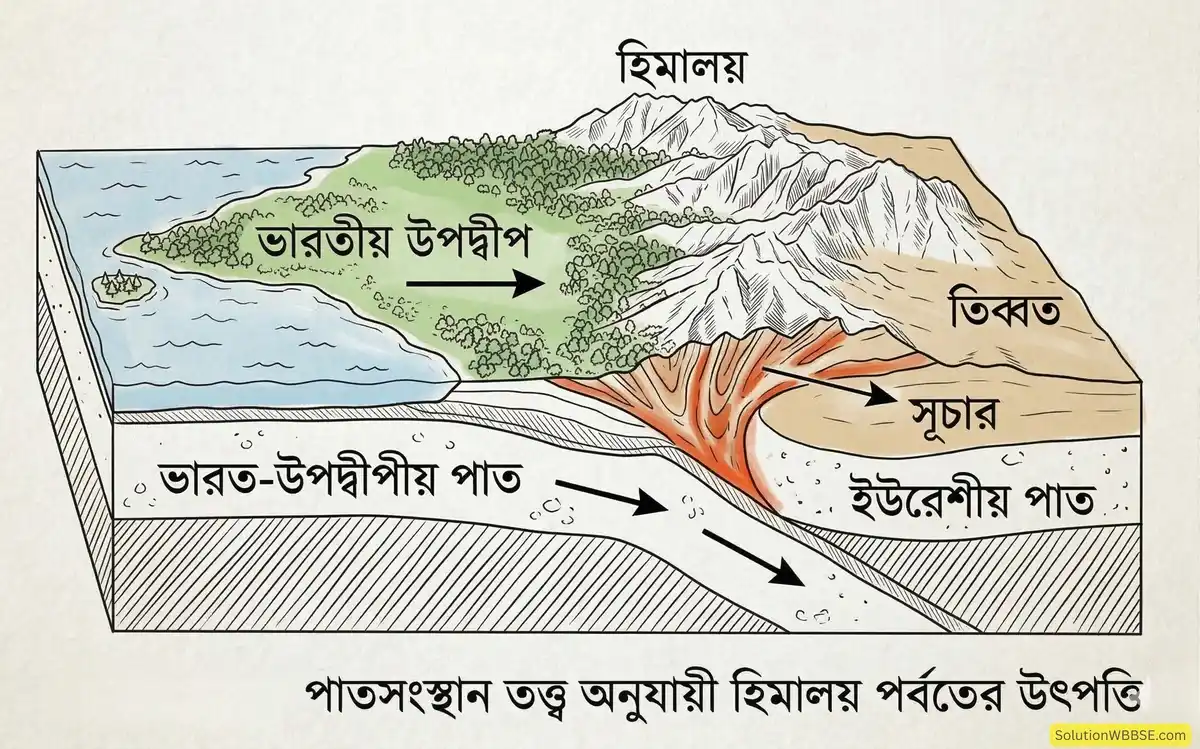 অষ্টম শ্রেণির ভূগোল: অস্থিত পৃথিবী (পাতসংস্থান তত্ত্ব) - ব্যাখ্যামূলক প্রশ্ন ও উত্তর 1 পাতসংস্থান তত্ত্ব অনুযায়ী হিমালয় পর্বতের উৎপত্তি