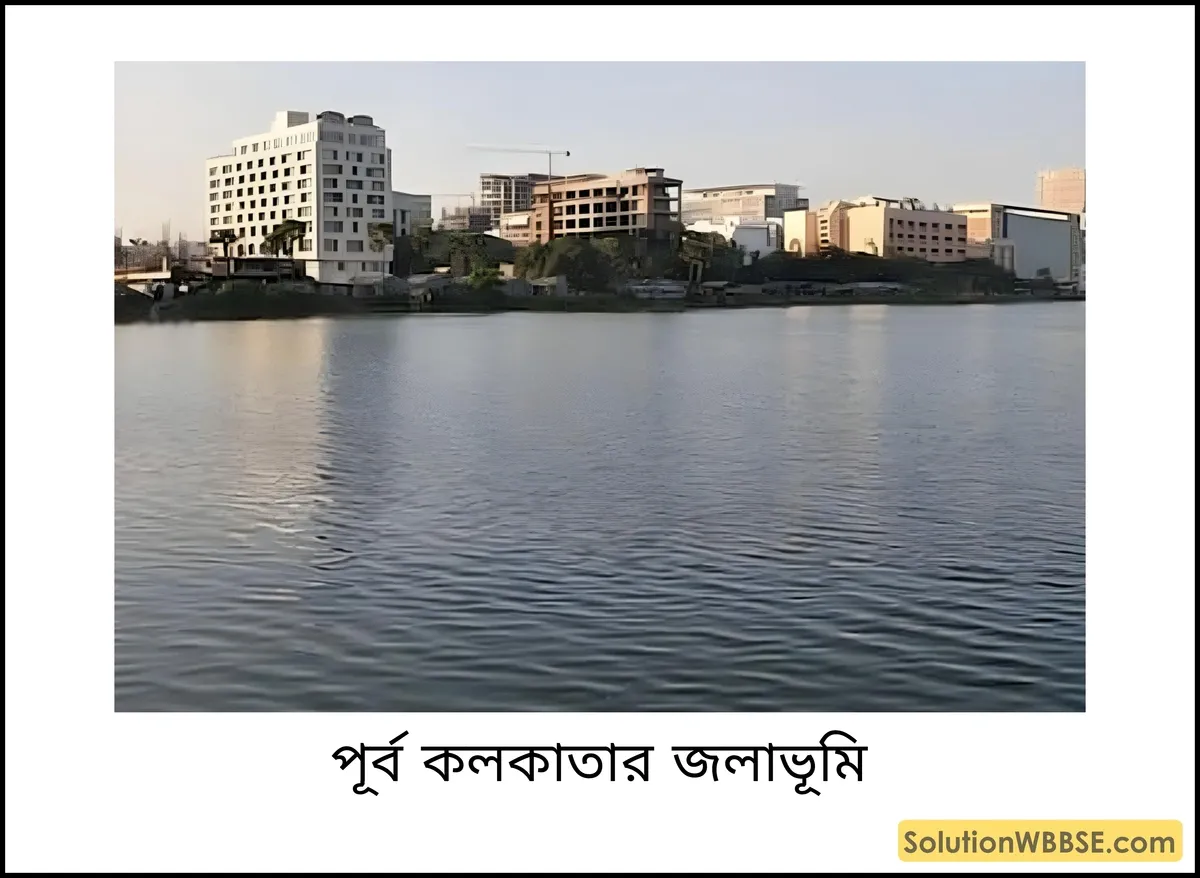 পূর্ব কলকাতার জলাভূমি