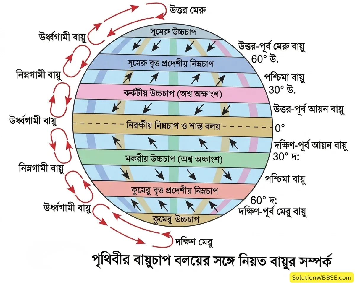 অষ্টম শ্রেণির ভূগোল - চাপবলয় ও বায়ুপ্রবাহ - রচনাধর্মী প্রশ্ন ও উত্তর 5 পৃথিবীর বায়ুচাপ বলয়ের সঙ্গে নিয়ত বায়ুর সম্পর্ক