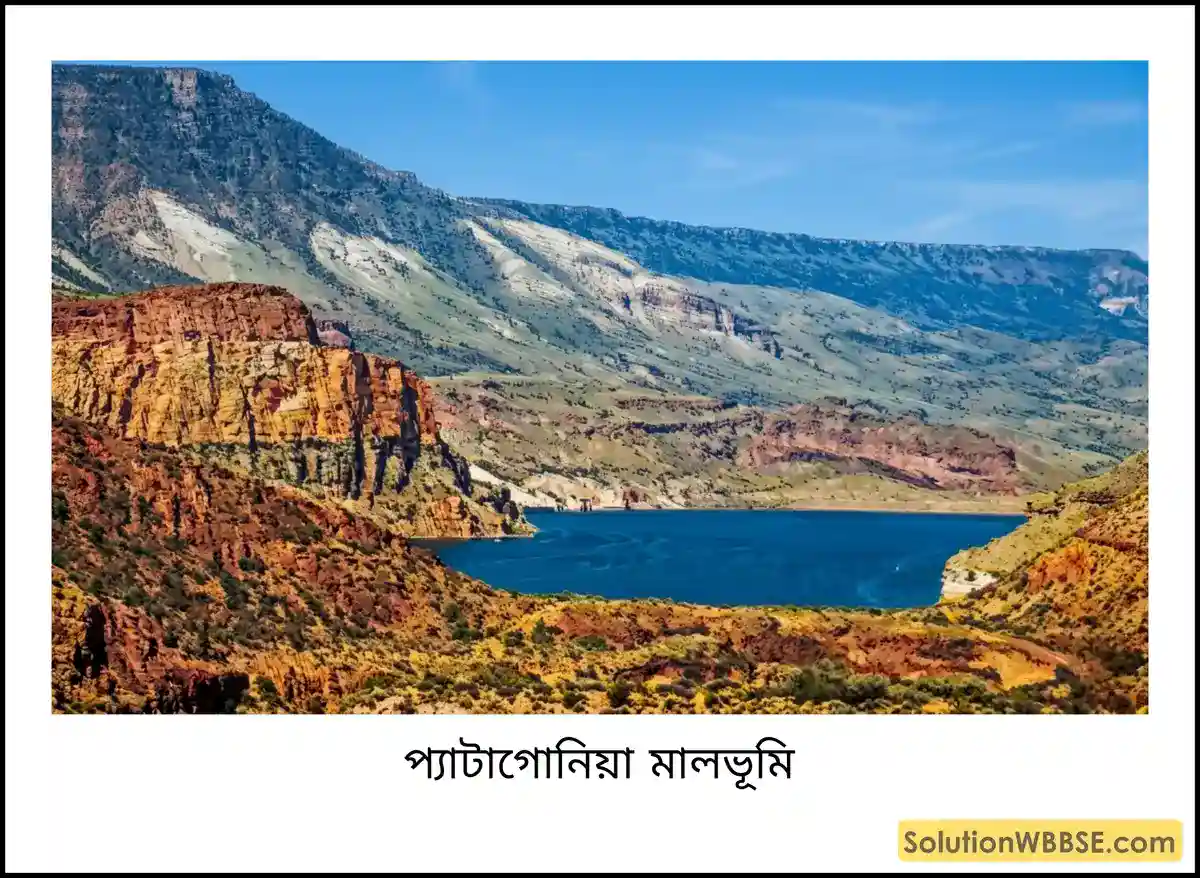 প্যাটাগোনিয়া মালভূমি