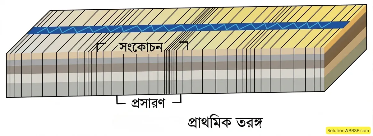 প্রাথমিক তরঙ্গ