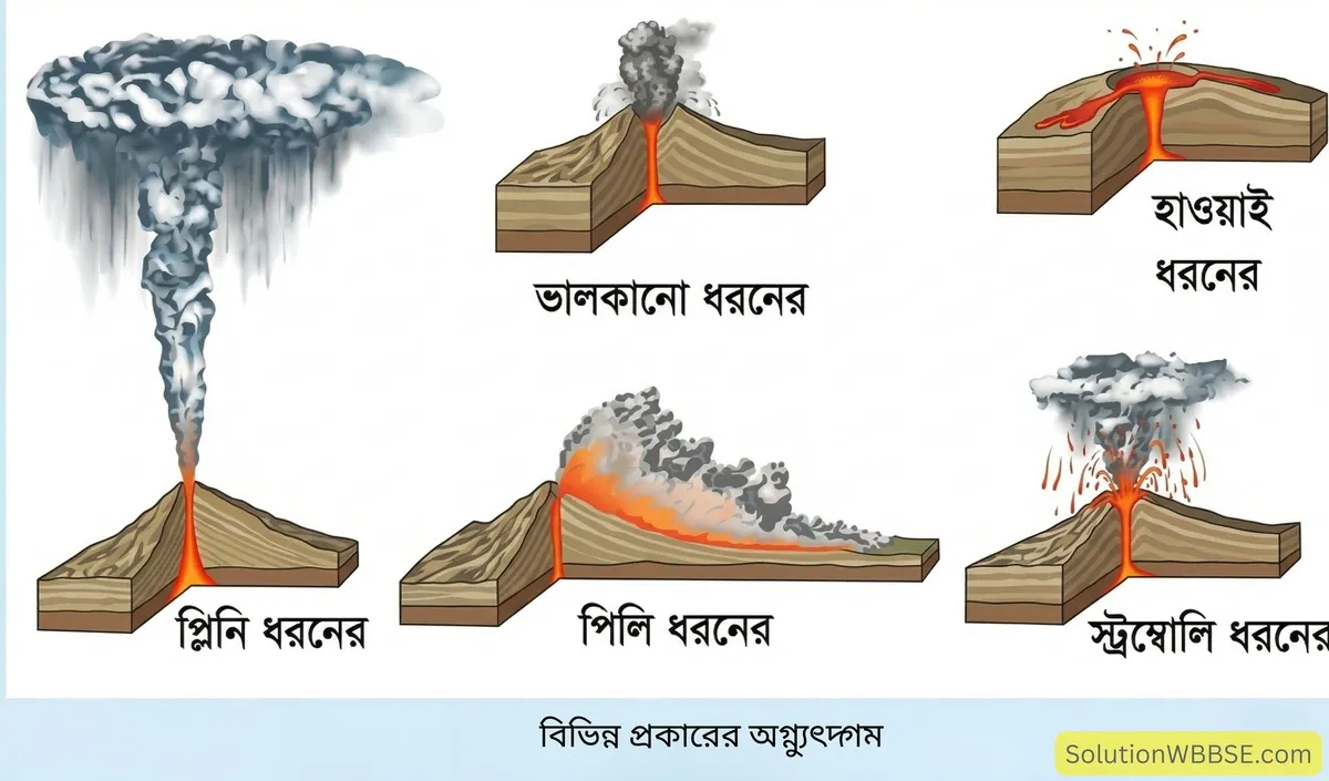 অষ্টম শ্রেণি ভূগোল - অস্থিত পৃথিবী - অগ্ন্যুদ্গম - রচনাধর্মী প্রশ্ন ও উত্তর 4 বিভিন্ন প্রকারের অগ্ন্যুৎদ্গম