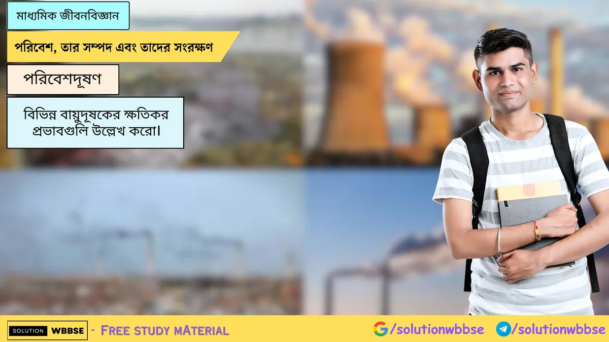 বিভিন্ন বায়ুদূষকের ক্ষতিকর প্রভাবগুলি উল্লেখ করো।