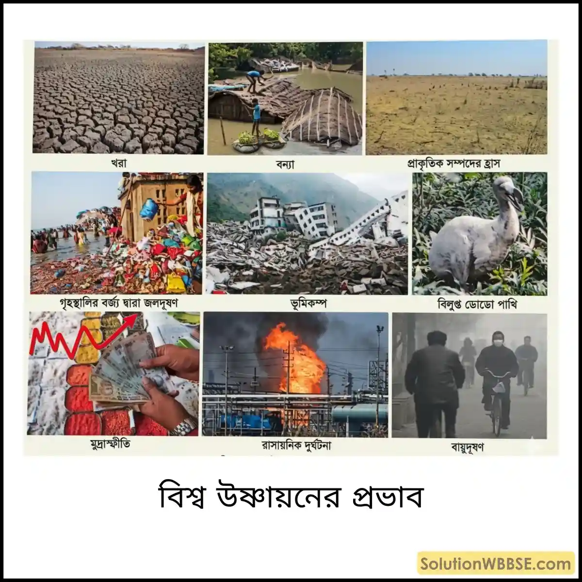 বিশ্ব উষ্ণায়নের প্রভাব