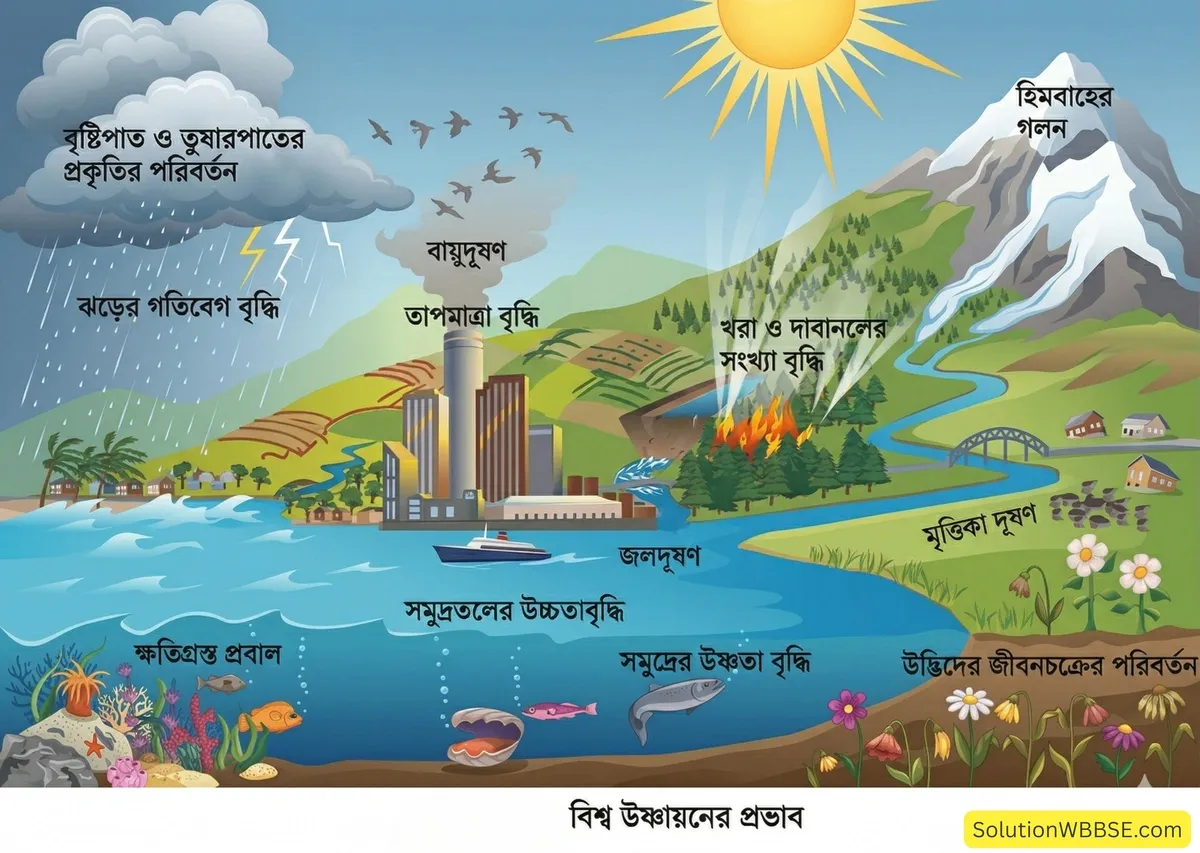 বিশ্ব উষ্ণায়নের প্রভাব