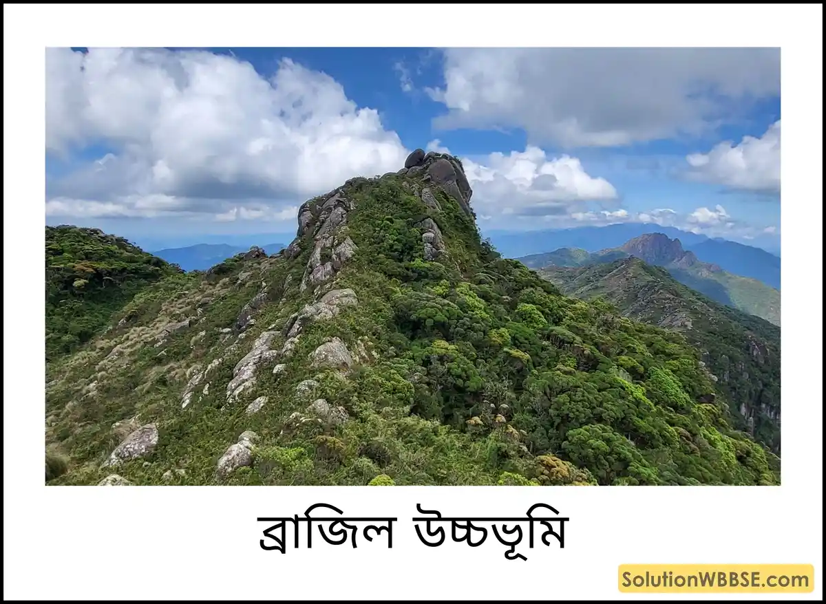 ব্রাজিল উচ্চভূমি