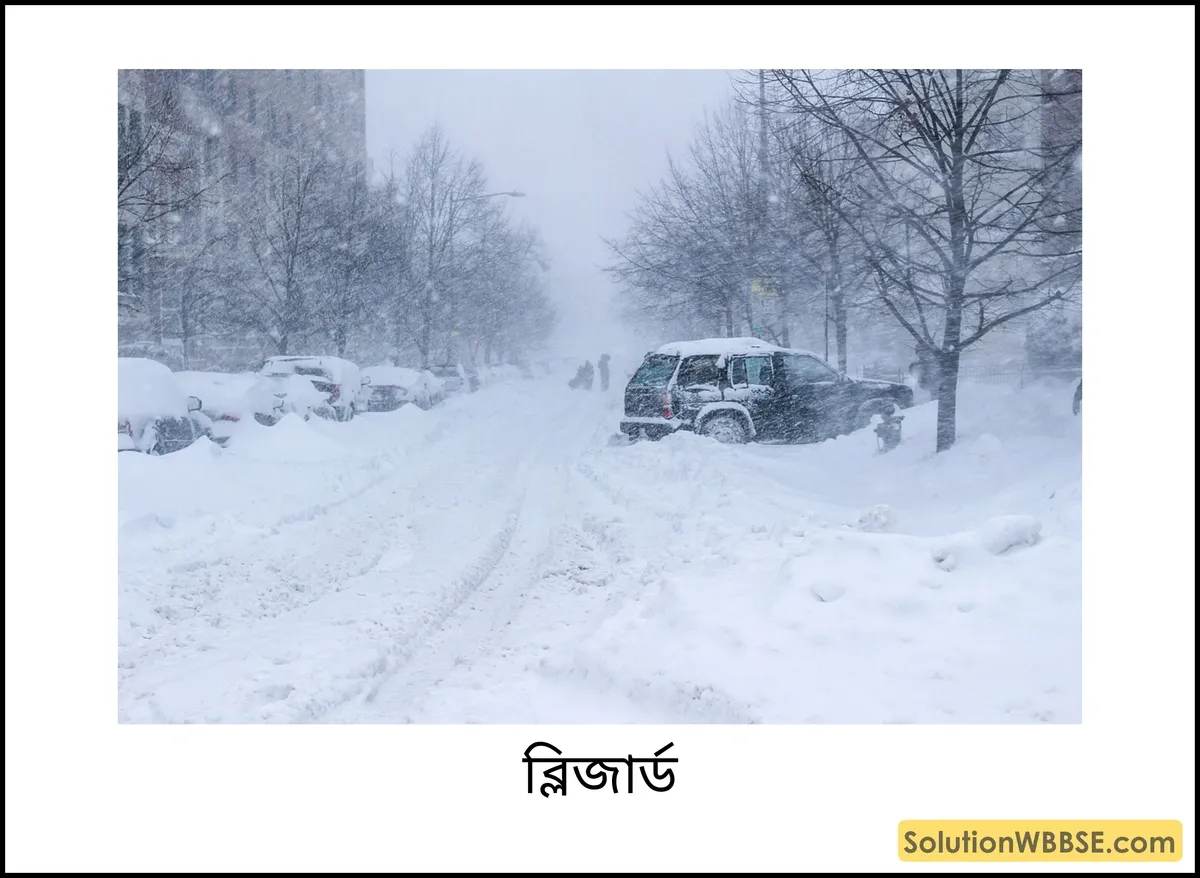 ব্লিজার্ড