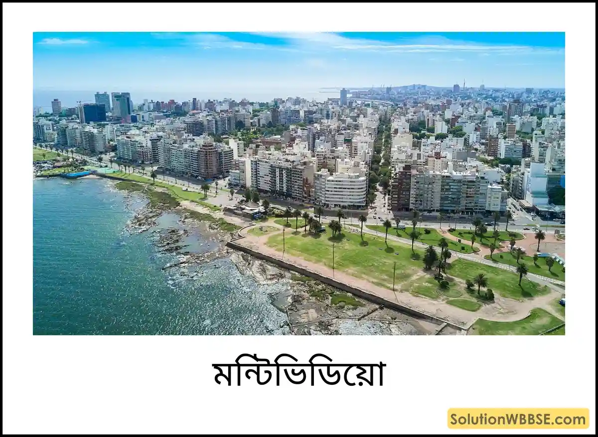 মন্টিভিডিয়ো