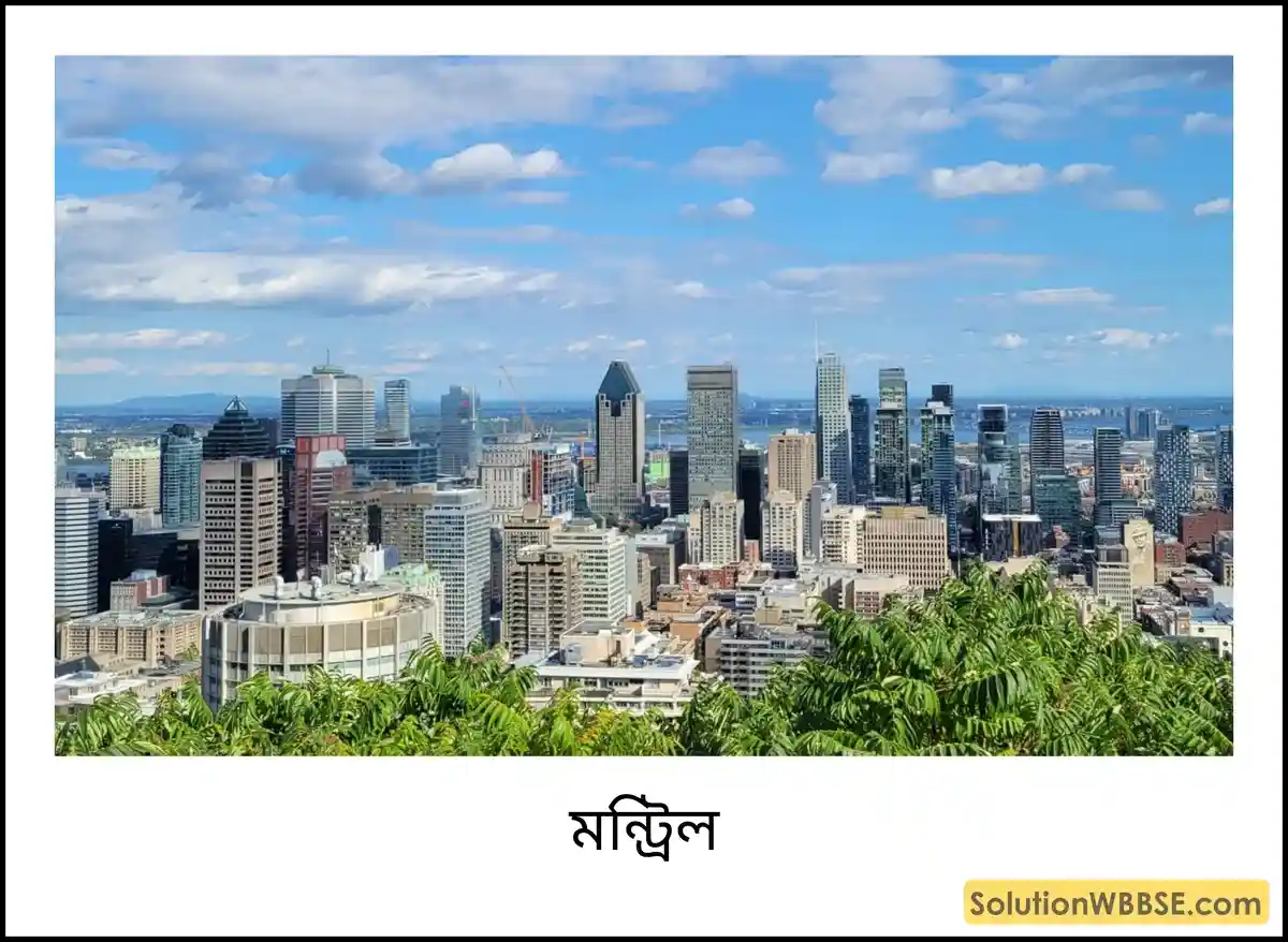 মন্ট্রিল