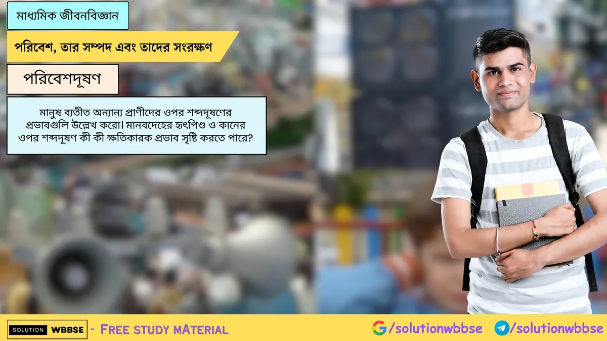 মানুষ ব্যতীত অন্যান্য প্রাণীদের ওপর শব্দদূষণের প্রভাবগুলি উল্লেখ করো। মানবদেহের হৃৎপিণ্ড ও কানের ওপর শব্দদূষণ কী কী ক্ষতিকারক প্রভাব সৃষ্টি করতে পারে?
