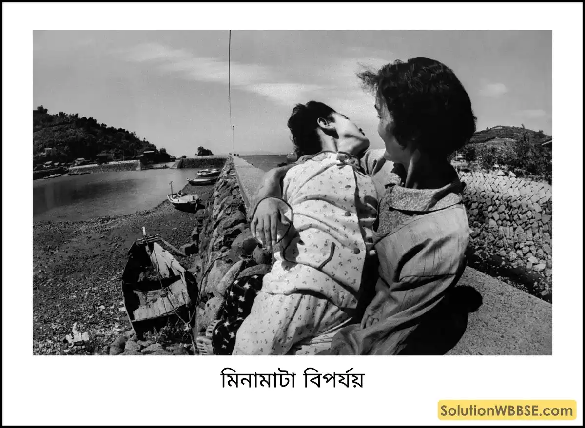 মিনামাটা বিপর্যয়