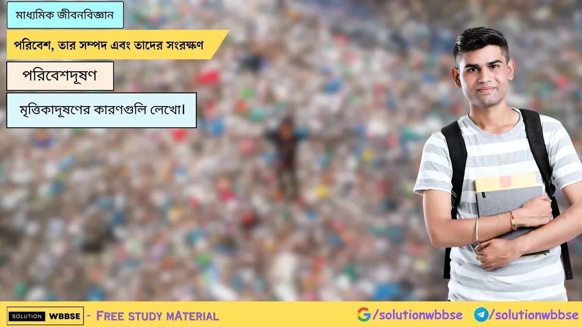 মৃত্তিকাদূষণের কারণগুলি লেখো।