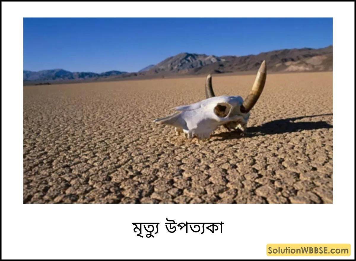 মৃত্যু উপত্যকা