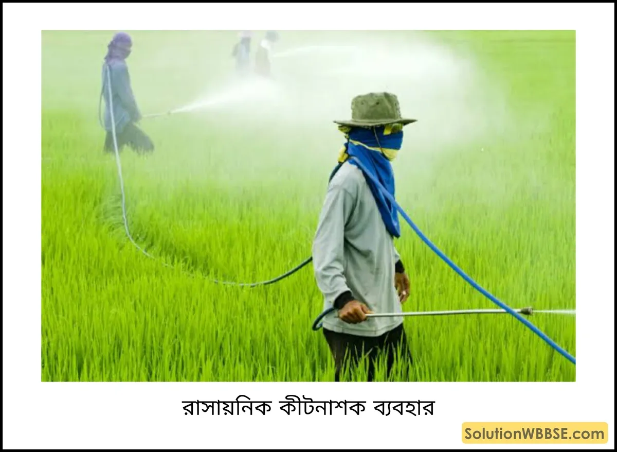 রাসায়নিক কীটনাশক ব্যবহার