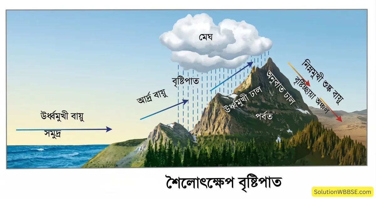 শৈলোৎক্ষেপ বৃষ্টিপাত