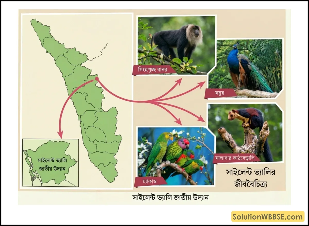 সাইলেন্ট ভ্যালি জাতীয় উদ্যান