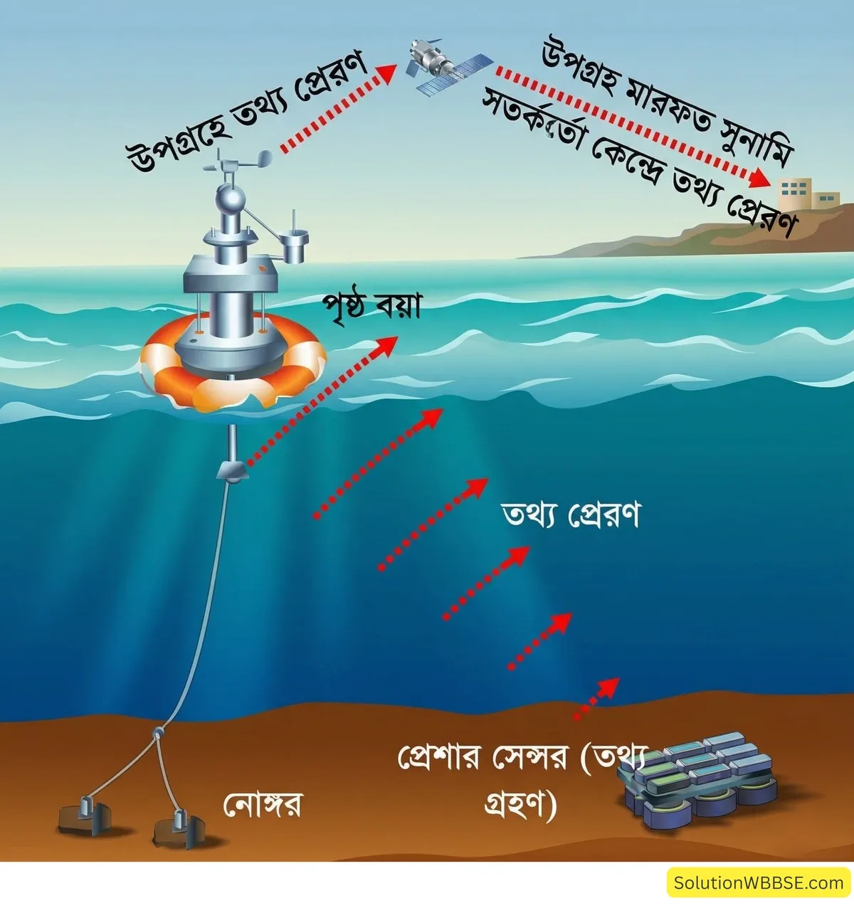সুনামি সতর্ক বার্তা