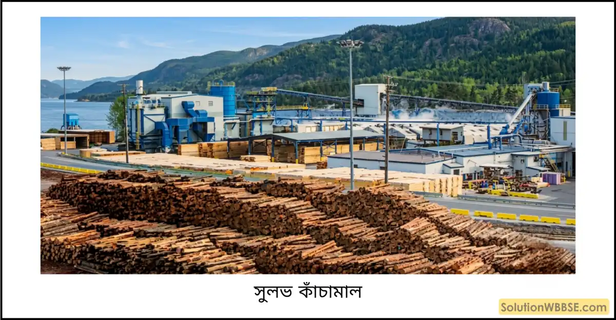 সুলভ কাঁচামাল