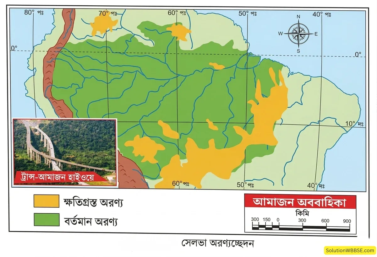 অষ্টম শ্রেণি ভূগোল - দক্ষিণ আমেরিকা - আমাজন অববাহিকা - ব্যাখ্যামূলক প্রশ্ন ও উত্তর 1 সেলভা অরণ্যচ্ছেদন