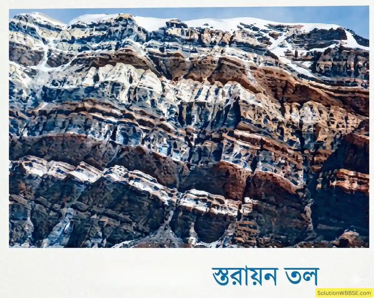 স্তরায়ন তল