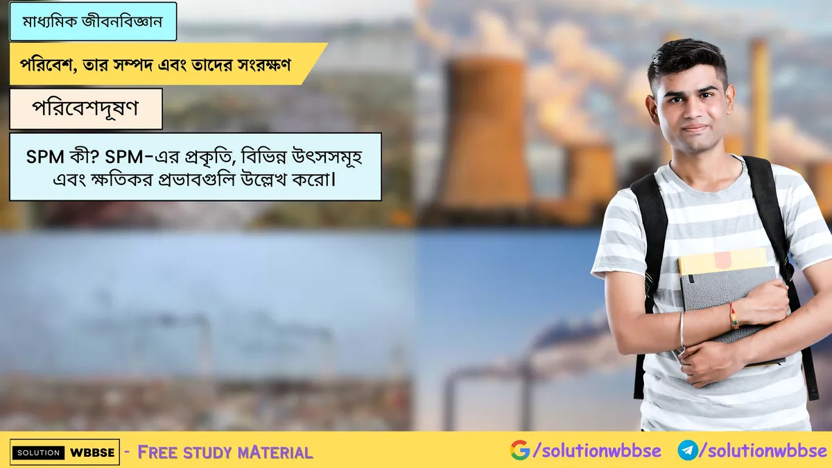 SPM কী? SPM-এর প্রকৃতি, বিভিন্ন উৎসসমূহ এবং ক্ষতিকর প্রভাবগুলি উল্লেখ করো।
