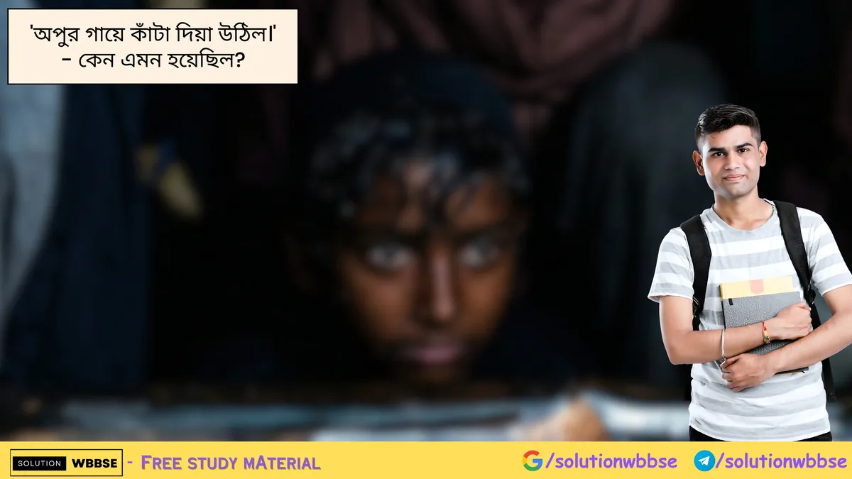 'অপুর গায়ে কাঁটা দিয়া উঠিল।' - কেন এমন হয়েছিল?