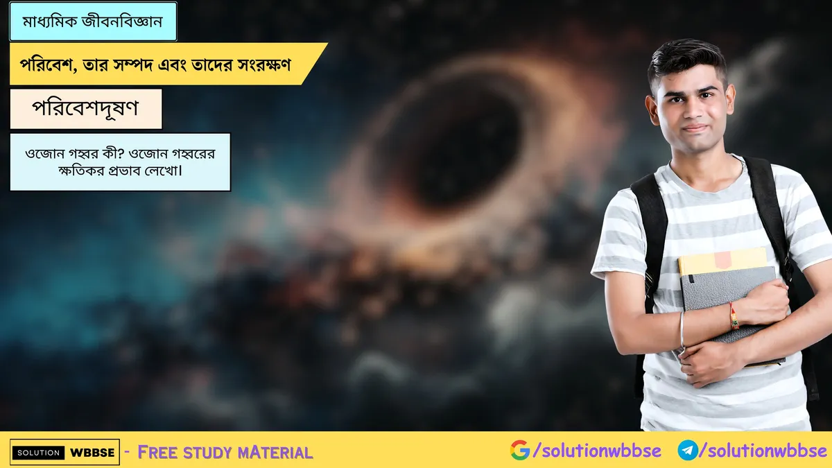 ওজোন গহ্বর কী? ওজোন গহ্বরের ক্ষতিকর প্রভাব লেখো।