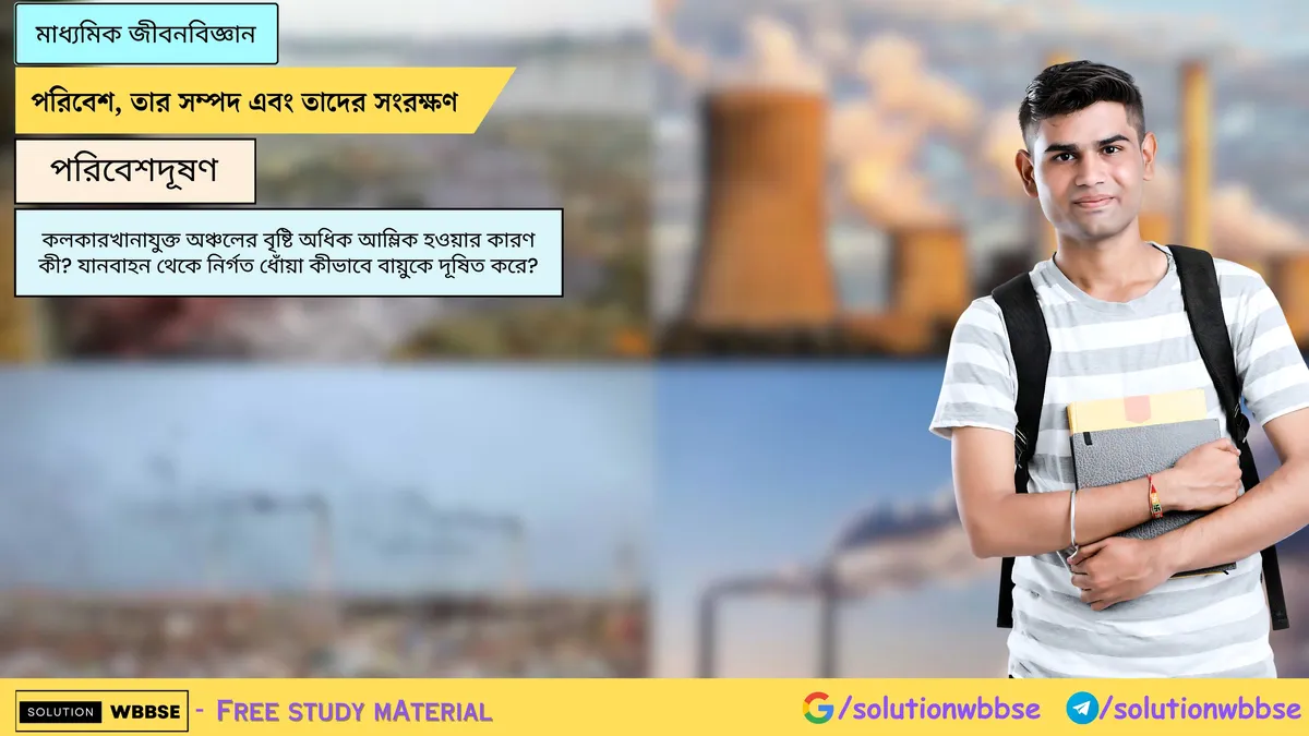 কলকারখানাযুক্ত অঞ্চলের বৃষ্টি অধিক আম্লিক হওয়ার কারণ কী? যানবাহন থেকে নির্গত ধোঁয়া কীভাবে বায়ুকে দূষিত করে?