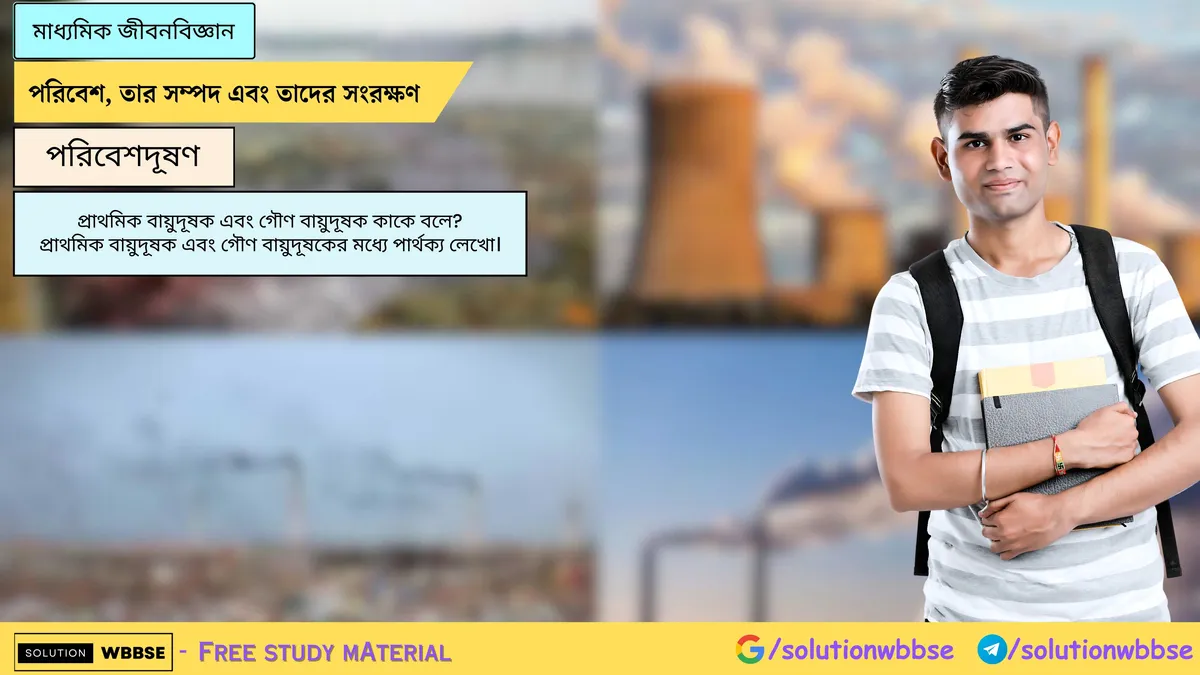 প্রাথমিক বায়ুদূষক এবং গৌণ বায়ুদূষক কাকে বলে? প্রাথমিক বায়ুদূষক এবং গৌণ বায়ুদূষকের মধ্যে পার্থক্য লেখো।