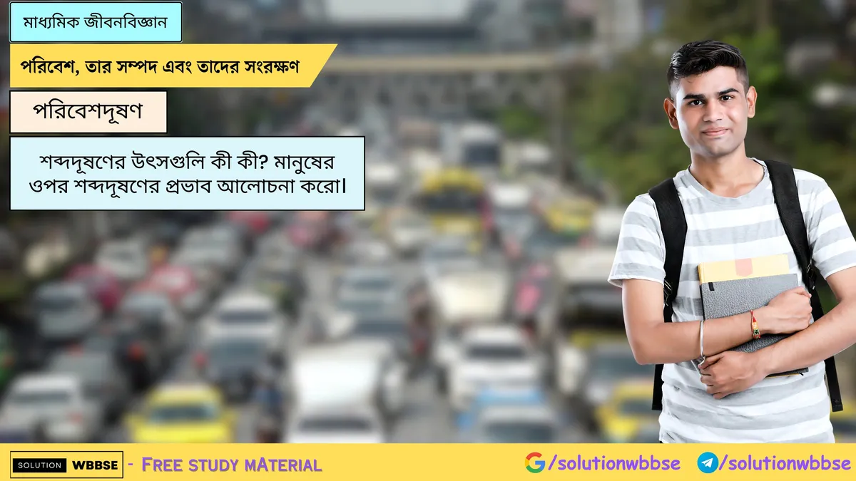 শব্দদূষণের উৎসগুলি কী কী? মানুষের ওপর শব্দদূষণের প্রভাব আলোচনা করো।