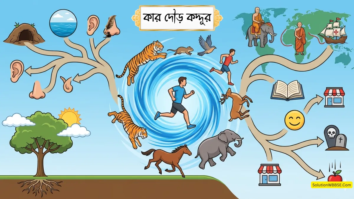 কার দৌড় কদ্দূর প্রবন্ধের গুরুত্বপূর্ণ রচনাধর্মী প্রশ্ন উত্তর